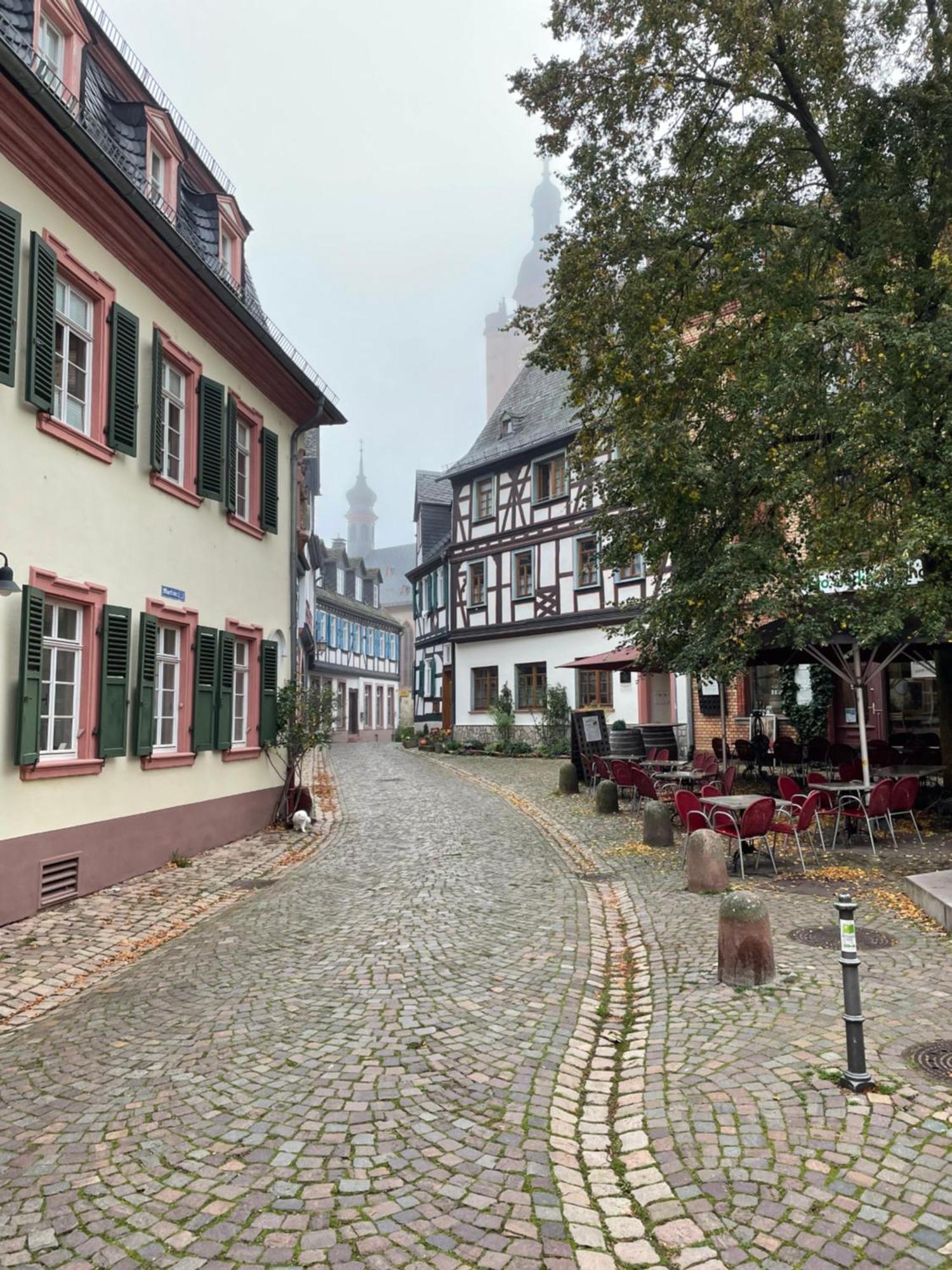 Alta Villa - Ferienwohnung Eltville am Rhein Exterior foto